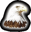 Avatar do Utilizador
