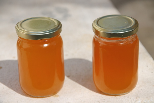 Biodiesel com Etanol 96% (Alcool puro) Após a Primeira lavagem