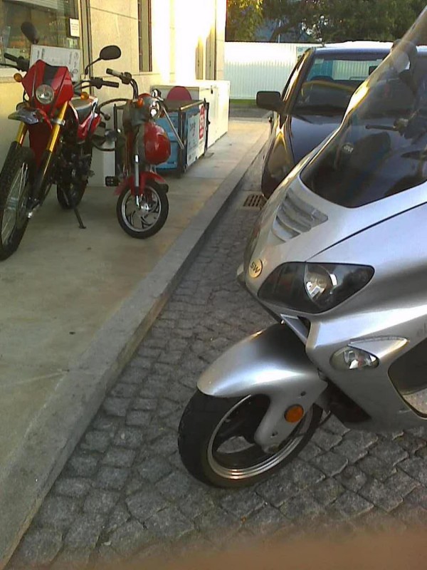 coitada acorrentada a uma ci. até me deu vontade de a levar