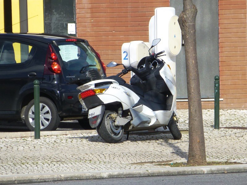 P1070226.JPG