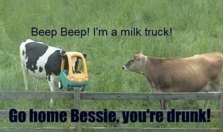 beepbeep.jpg