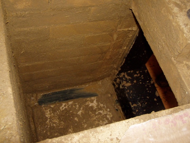 P1011478_kl.JPG