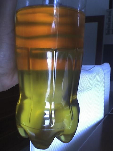 biodiesel nao lavado.jpg