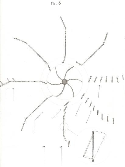 modelo 5.jpg