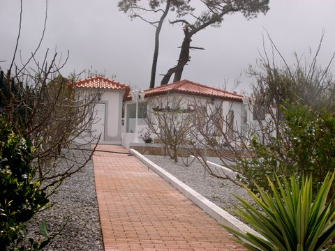 DSC01090.JPG