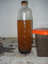 Biodiesel02.JPG
