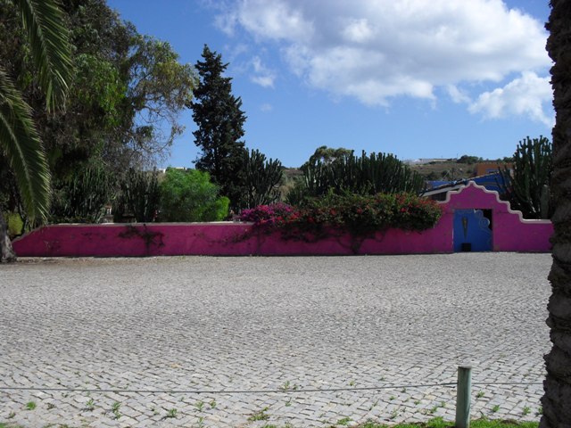 pachito 1.jpg