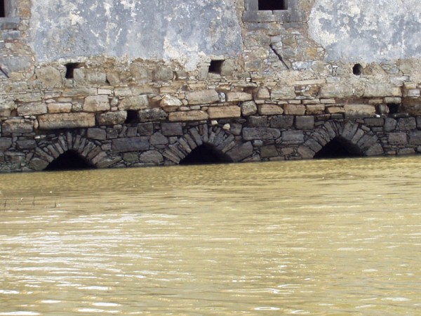 P8210011 (600 x 450).jpg