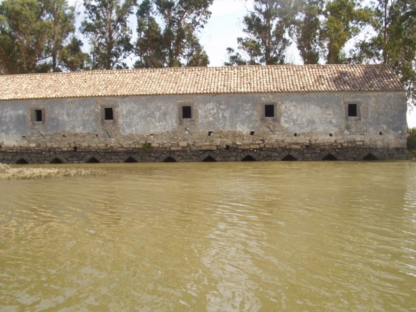 P8210012 (600 x 450).jpg