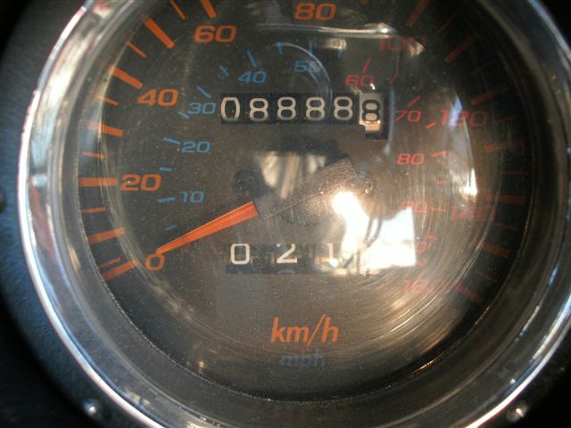8888.JPG
