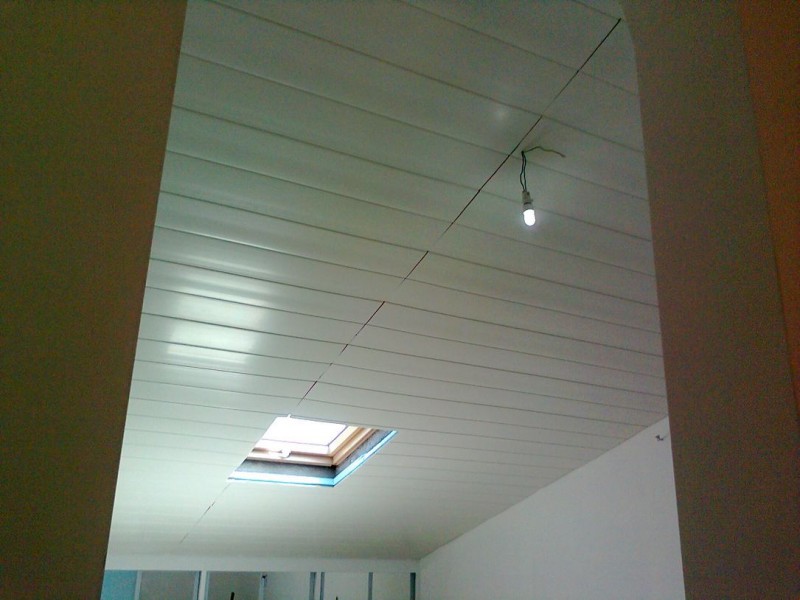 Image1.jpg