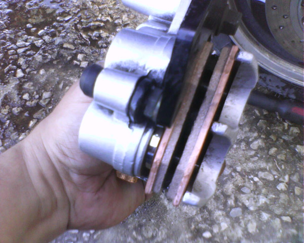 IMG0118A.jpg