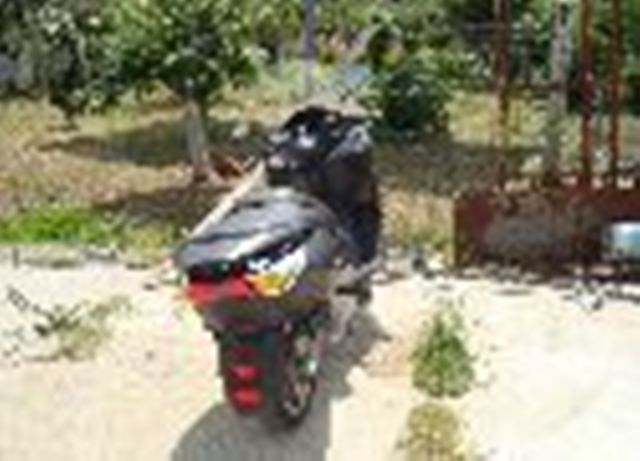 dsc01434u.jpg